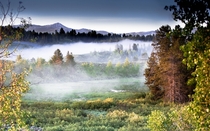 Early Morning Yellowstone Fog 