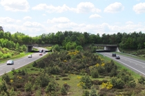 Ecoduct-wildlife crossing in the Netherlands