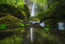Elowah Falls mirrored by a reflection from a small spring pool Columbia River Gorge OR 