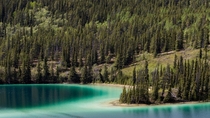 Emerald Lake - Yukon Territory Canada 