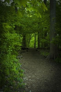 Enchanted Forest at Picnic Point - Madison WI 