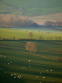 Englands green and pleasant lands Eden Valley Cumbria 