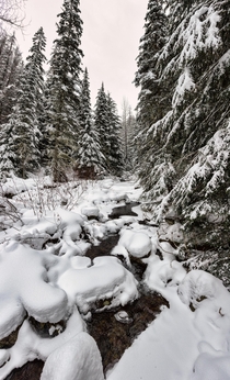 Enjoying the soft forms of winter as we cross Snyder Creek at Crystal Ford on our way to Fish Lake