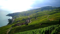 Epesse village in Lavaux Wineyards Switzerland 