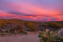 Ethereal Arizona Sunset 
