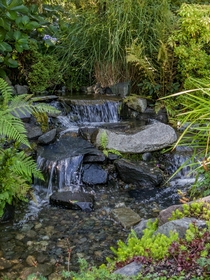 Even small streams can be interesting and refreshing Photo taken at Highline Seatac Botanical Gardens in Seatac Washington 