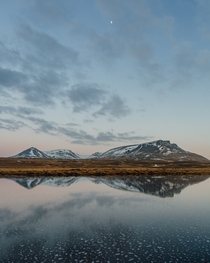 Evening Light in Northern Iceland 