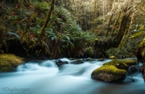 Fairy tale Creeks deep in Vancouver Islands Rain forest Canada OC insta daylincooper