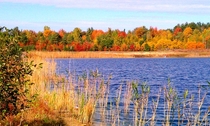 Fall beauty in Michigan USA 