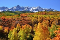 Fall Colors of Colorado 