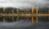 Fall colors on display during a foggy morning at Trillium Lake near Mt Hood in Oregon 