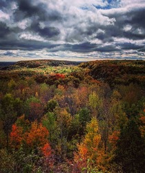 Fall colours in Mono Cliffs Park in Ontario Canada   x 