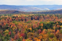 Fall Foliage in Vermont 