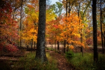 Fall hike through Devils Den State Park AR 