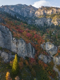 Fall in Ogden Canyon Utah  igroaddogtravel