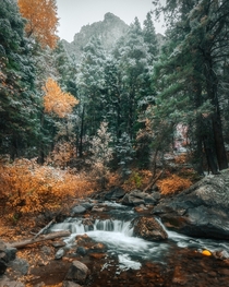 Fall isnt ready to let go yet Utah  x IG rondinasnaps