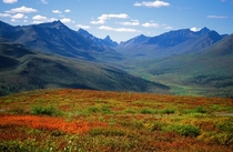 Fall Landscape Yukon 