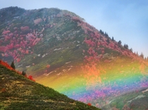 Fattest rainbow Ive ever seen above the newly changing Utah leaves 