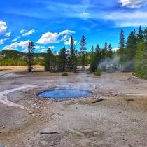 Fearless Geyser in Yellowstone National Park 