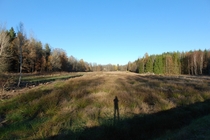Field among trees in Pryd Sweden 