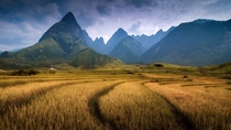Fields near Mt Fansipan Vietnam  by Por Pathompat