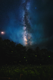 Fireflies - The Milky Way rises over hundreds of fireflies in Amherst MA 