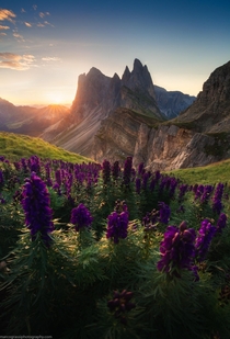 First light in Seceda Dolomites  marcograssiphotography
