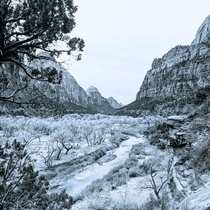 First post of scenic view at Zion National Park 