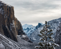 First Snow in Yosemite 