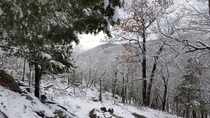 First snow of the season at Bear Mountain State Park NY 
