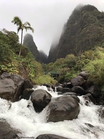 First time in Maui landed at am and met a local who showed me this spot Ioa Valley Maui 