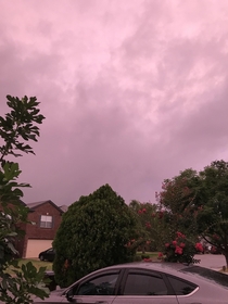 First time seeing the purple sky