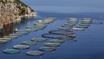 Fish-farming facilities on the coast near Epidaurus in Greeces southern Peloponnese region of Corfos 