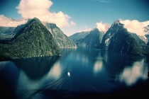 Fjordlands National Park New Zealand x