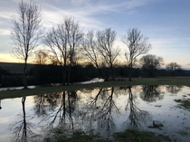 Flood water reflection at sunset Salisbury UK 