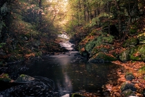 Flow of Seasons - Algonquin Park Ontario Canada 