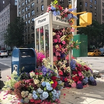 Flower Flash in NYC by Lewis Miller design