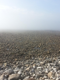 Fog hides the ocean - outside Beverley MA 