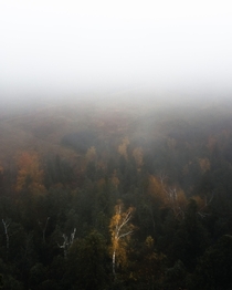Foggy fall days Mount Nemo Burlington Ontario Canada -  Instagram shredeye