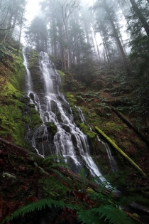Foggy Falls - Randle Washington 