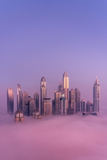 Foggy mornings Dubai UAE