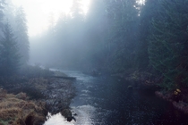 Foggy river in Alaskas rainforest 