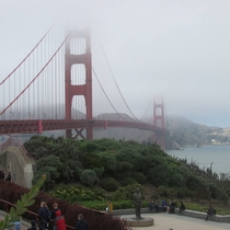 Foggy San Francisco   x 