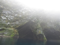 Foggy Sea Caves of the Newfoundland Coast 