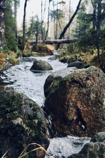 Forest stream in Tyresta National Park Sweden 