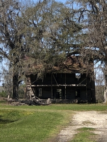 Forgotten Farmhouse Beneath The Oaks