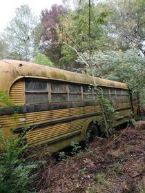 Forgotten school bus