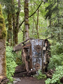 Found the skeletal remains of a bus in the middle of a forest 