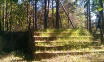 Found these steps in the middle of the woods boromir vs frodo 