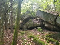 Found this old bunker in the woods in Hohenfels Germany